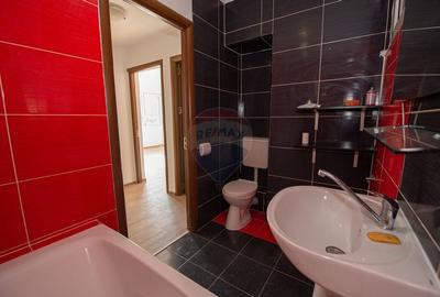 Apartamet de vanzare in zona Unirii Tineretului, Dimitrie Cantemir - 7