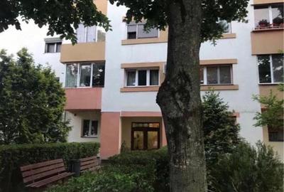 Apartament cu 3 camere decomandat în Torontalului - 13