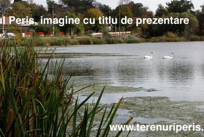 Terenuri IN RATE 500 /luna, teren 25 Peris, Tancabesti - 10