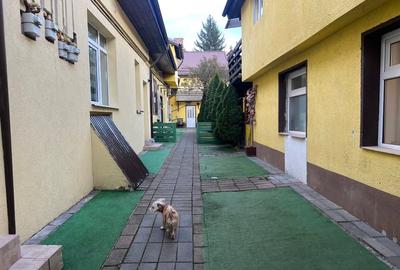 Apartament cu 2 camere decomandat, mobilat în Brașovul Vechi - 6