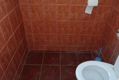 Inchiriez proprietate in Deva, zona ultracentrala (Ion Creanga), doua usi de acces, 140 mp - 5