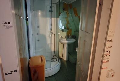 Casa 2005 -5camere 190mp utili, langa metrou Brancoveanu curte - 13