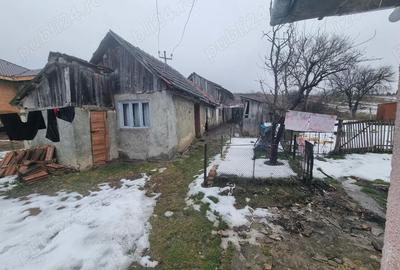 Casă cu 4 camere cu Teren 3393 Mp în Aghireșu - 9