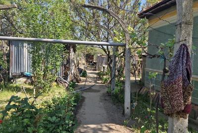 Casa de vanzare comuna Ianca judetul Olt - 16