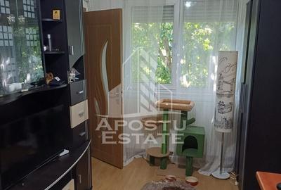 Apartament cu 2 camere nedecomandat, mobilat în Șagului - 2
