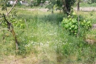 Blitz va ofera spre vanzare casa cu teren generos in Covasant - 6