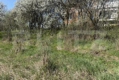 Teren în Crișeni - 1