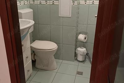Apartament cu 2 camere semidecomandat în Petrișor - 10