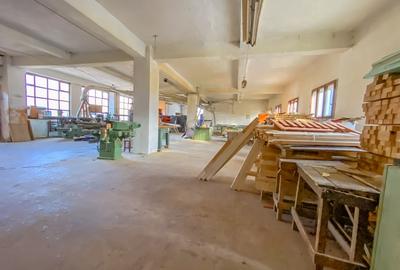 Spațiu industrial, de 1,473 mp, în Tulgheș - 7