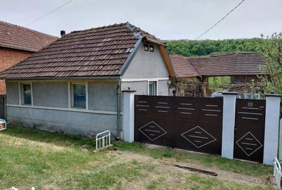 Casă cu 4 camere cu Teren 4327 Mp în Bârzava - 6