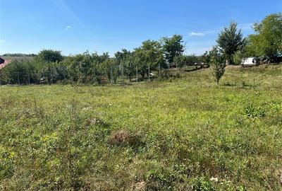 Teren Construcții intravilan de 2075 mp, în Drajna de Jos - 4