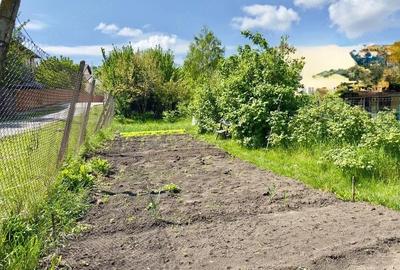 Casă cu 4 camere cu Teren 434 Mp în Feleacu - 4