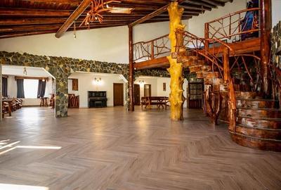 Pensiune noua, cu acces la rau, Bran-Moieciu - 9