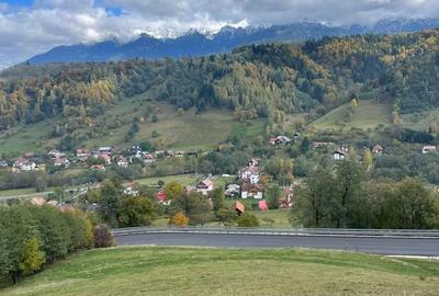 Teren de 4700 mp, în Moieciu - 1