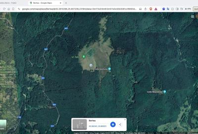 Teren agricol extravilan de 270000 mp, în Bertea - 5