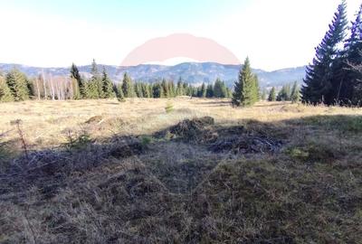 Teren agricol extravilan de 16289 mp, în Coverca - 8