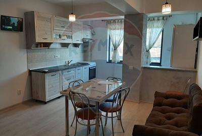 Apartament cu 2 camere de vanzare in zona Bariera Valcii - 2