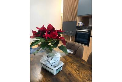 Apartament cu 2 camere semidecomandat, mobilat în Bucureștii Noi - 9