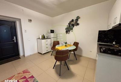 Garsonieră semidecomandată în Ultracentral - 5