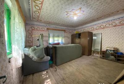 Casă cu 2 camere cu Teren 7927 Mp în Damiș - 6
