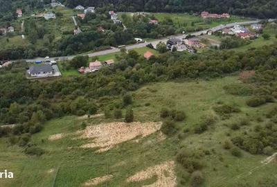Spațiu comercial, în Feleacu - 1