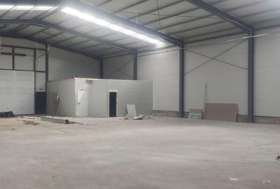 Spațiu comercial, de 540 mp, în Moara Domnească - 7