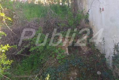 Casă cu 2 camere cu Teren 874 Mp în Covăsinț - 5