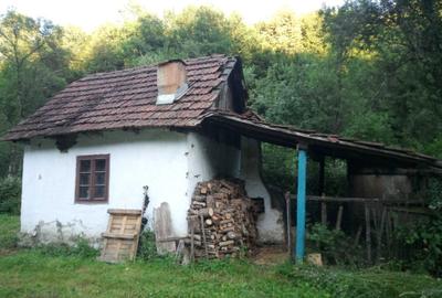 Casă cu 3 camere în Hălmagiu - 4