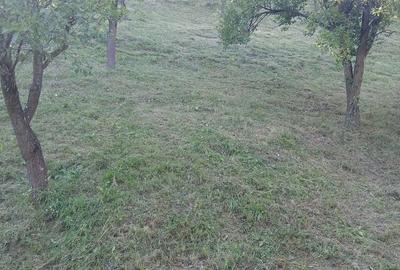 Spațiu comercial, în Salva - 4