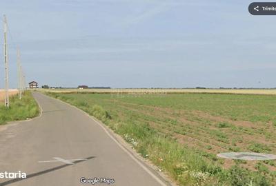 Teren de 668 mp, în Vasilați - 4