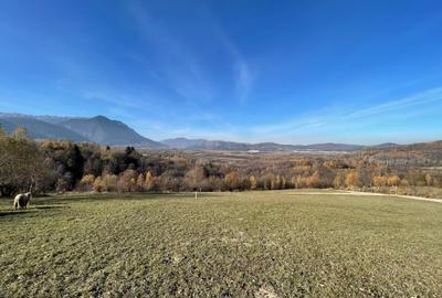 Teren intravilan loturi intre 500 si 1000 m, la 5 km de Moieciu - 9