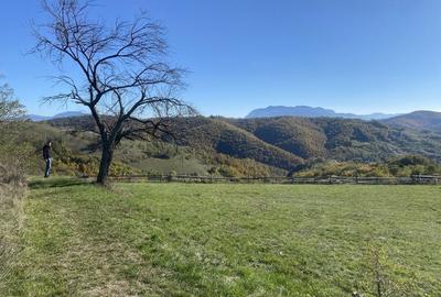 Spațiu comercial, în Central - 7