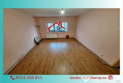 Apartament cu 3 camere decomandat în Mioriței - 11