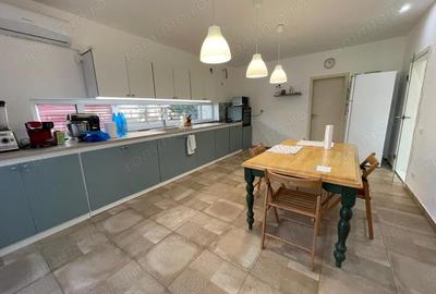 Casă cu 6 camere cu Teren 894 Mp în Berceni - 3