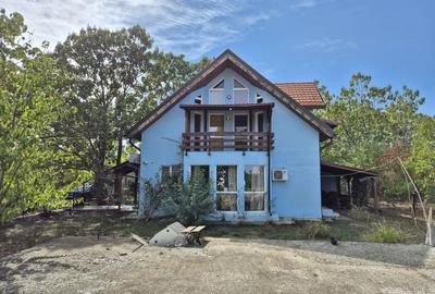 Casa P+1 din lemn - Mihailesti - 1