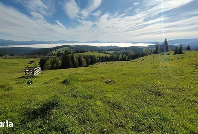 Teren de 700 mp, în Tiha Bârgăului - 5