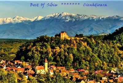 Spațiu comercial, în Cisnădioara - 2