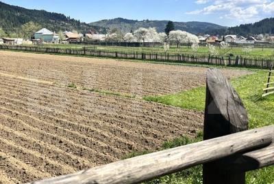 Spațiu comercial, în Vama