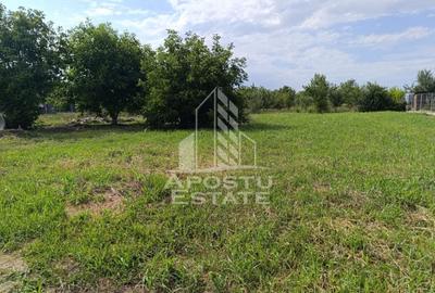 Teren Construcții intravilan de 683 mp, în Giarmata-Vii - 1