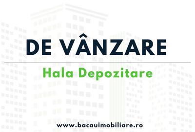 Spațiu industrial, de 156 mp, în 9 Mai