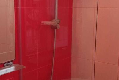 Apartament cu 3 camere decomandat în Tudor - 8