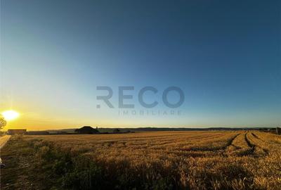 Teren de 2303 mp, în Cheriu - 9