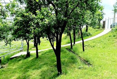 Casă cu 3 camere cu Teren 700 Mp în Central - 2