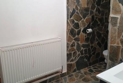 Apartament cu 2 camere în Olteni - 3