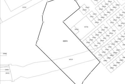 Teren Construcții extravilan de 42000 mp, în Malu Mare - 2