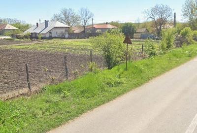 Casă cu Teren 5500 Mp în Zlata - 5