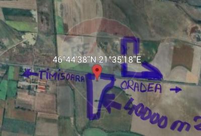 Teren intravilan 80500mp. aproape de nodul rutier de pe DX Oradea-Arad - 3