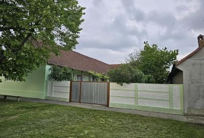 Casă cu 4 camere cu Teren 1450 Mp în Liebling - 8