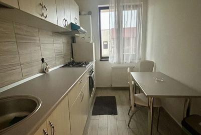 Garsonieră, mobilată în Valea Ialomiței - 10