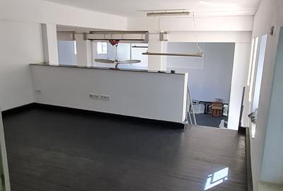 Vand spatiu productie - 4